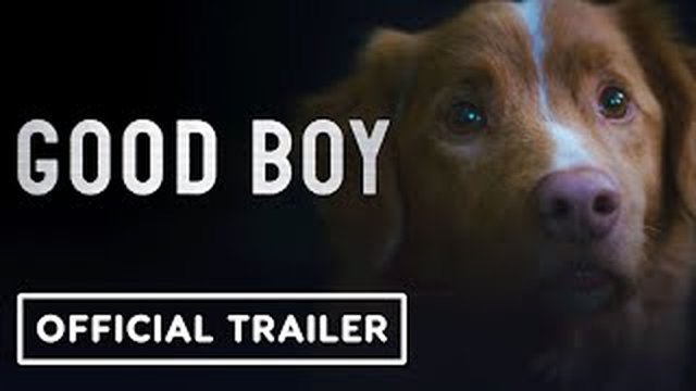 Thumbnail de Good Boy - Official Trailer (2025) Shane Jensen, Arielle Friedman, Larry Fessenden