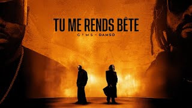 Thumbnail de GIMS & DAMSO - TU ME RENDS BÊTE (Official Lyrics Vidéo)