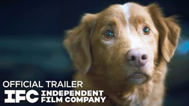 Thumbnail de Good Boy - Official Trailer | HD | IFC Films